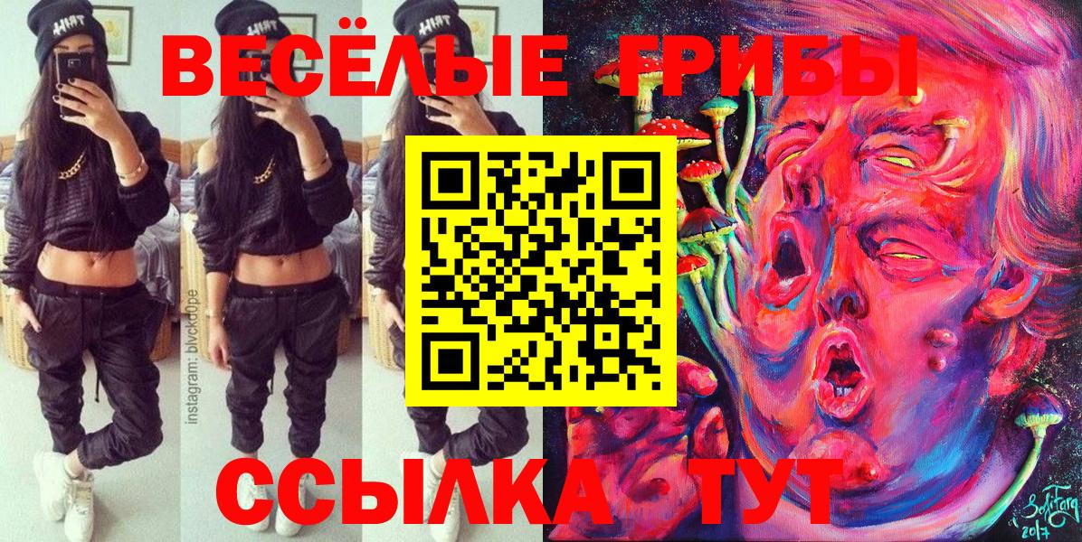 Галлюциногенные грибы Psilocybe  Вход с VPN  Югорск  Галлюциногенные грибы Cubensis 